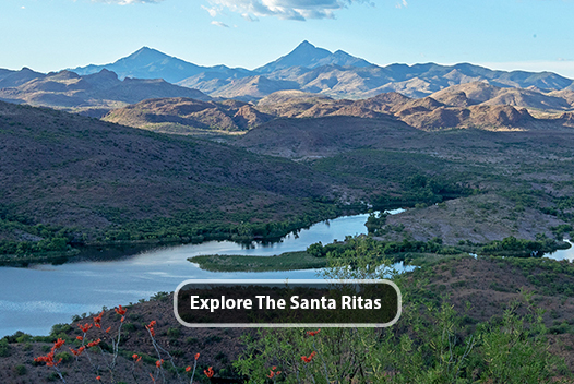 Explore the Santa Rita Mountains